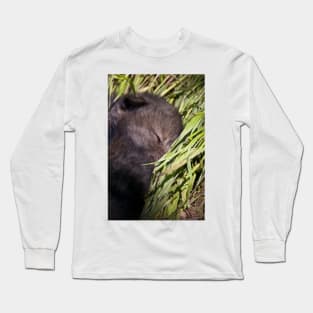 Sleeping Wolf Pup Long Sleeve T-Shirt